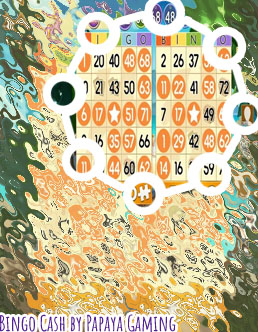 Bingo game real cash