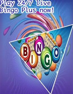 Bingo net plus