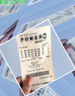 Rajshree lottery ticket online